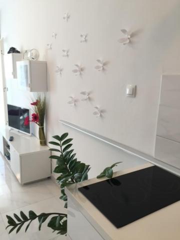 Cute Studio-Great Location Zadar Dış mekan fotoğraf